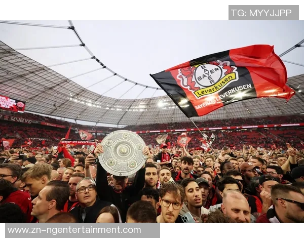 比利时与丹麦激战正酣足球盛宴引发球迷热情四溢